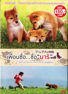 A Tale of Mari and Three Puppies (2007) เพื่อนซื่อ ชื่อ มาริ