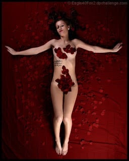 American Beauty (1999) อเมริกัน บิวตี้