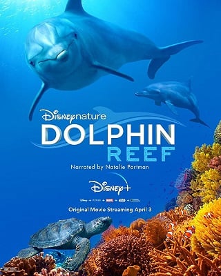 Dolphin Reef (2020) Disney+ อัศจรรย์ชีวิตของโลมา
