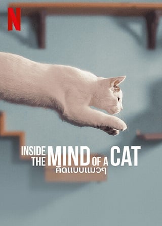 Inside the Mind of a Cat | Netflix (2022) คิดแบบแมวๆ